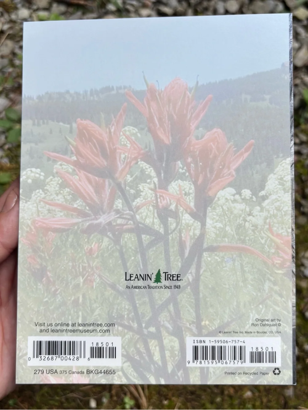 Vintage Nature Greeting Cards Set of 3 Leanin' Tree WWF Flower Basket